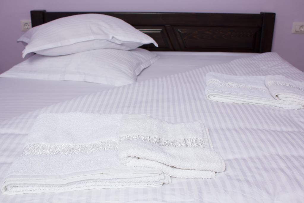 Pensiunea Viki Tău Bistra Room photo