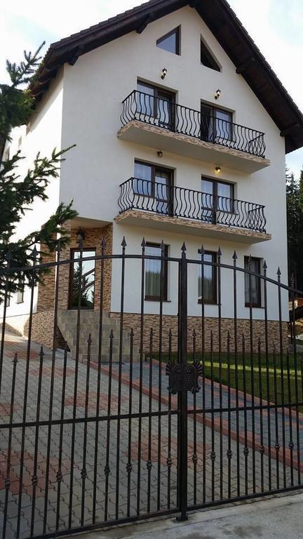 Pensiunea Viki Tău Bistra Exterior photo